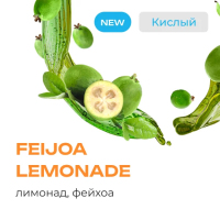 Element  Feijoa Lemonade 25 