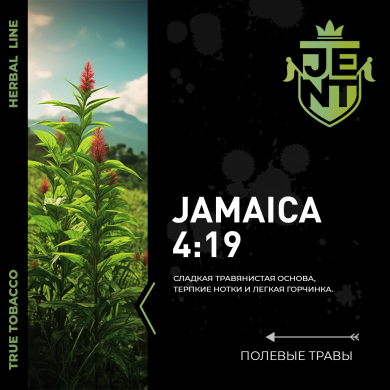 JENT Herbal Jamaica 4:19 ( ) 25 