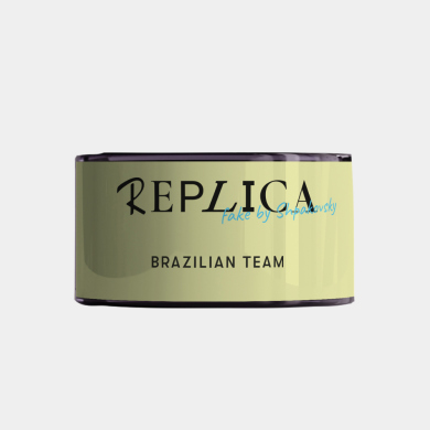   REPLICA Brazilian team 25 