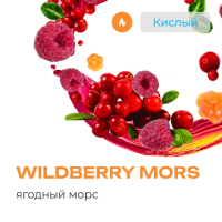 Element  Wildberry Mors 25 