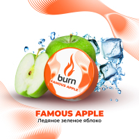 Burn Famous Apple -      25 