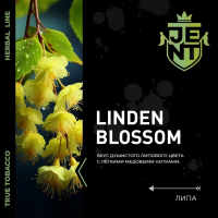 JENT Herbal Linden Blossom () 100 