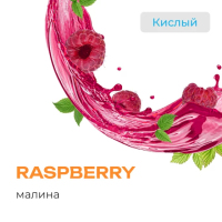 Element  Raspberry 25 